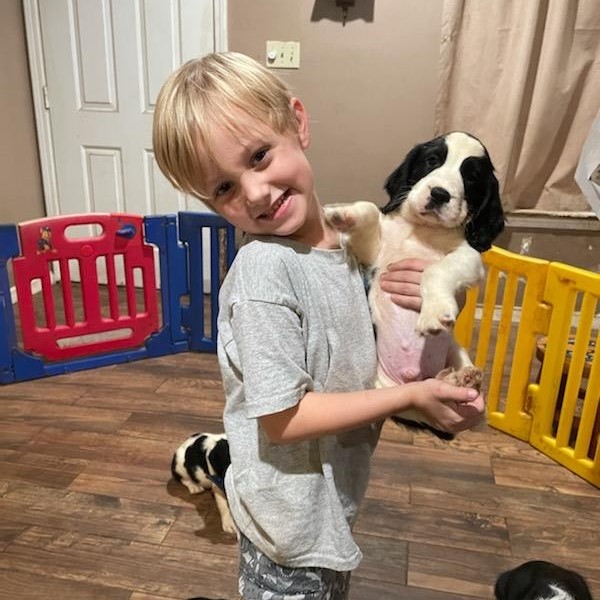 Junior Kennel Tech Lucas